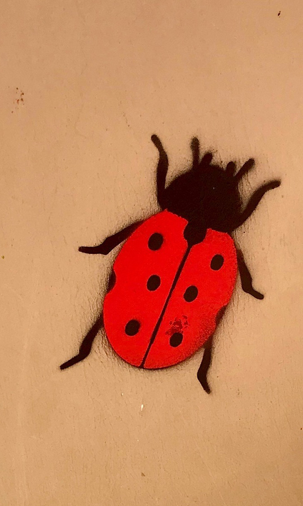 Fresques_0016_495623289_1001466618779243_8374497873719256751_n