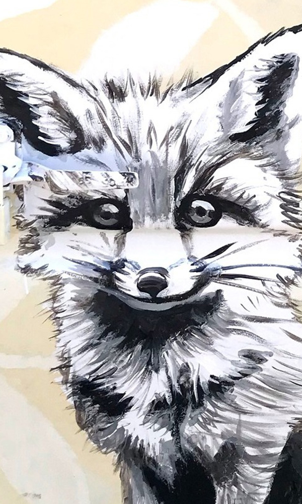 modeleGallerie_0002_495358105_1001466608779244_2323783546044585746_n