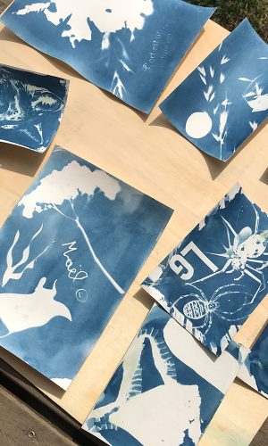 modeleGallerie_0001_IMG_3119