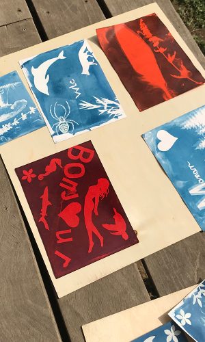 modeleGallerie_0002_IMG_3118