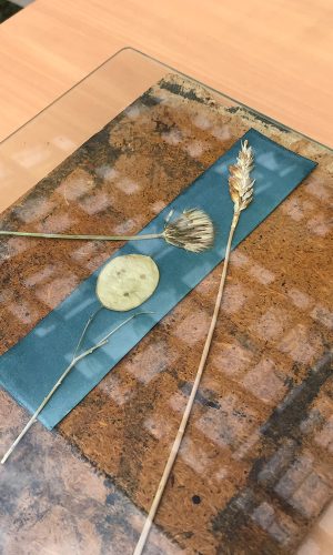 modeleGallerie_0003_IMG_3115