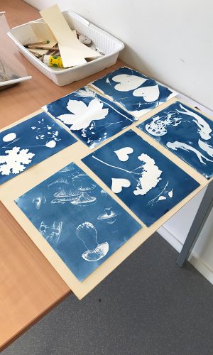 modeleGallerie_0005_IMG_3107