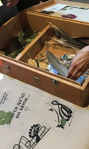 modeleGallerie_0006_IMG_2913