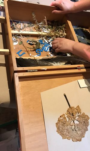 modeleGallerie_0008_IMG_2909