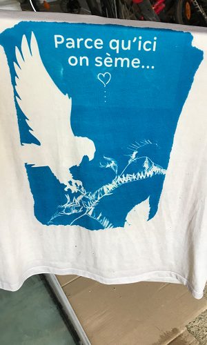 modeleGallerie_0015_IMG_2571