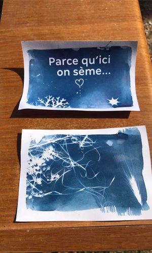 modeleGallerie_0018_518223482_1046192900973281_7863880250506060887_n